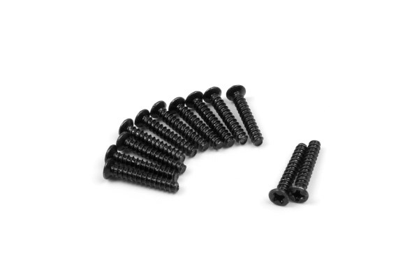 BLACKZON Senkkopf Schneidschraube 2x12mm (12St) 540160