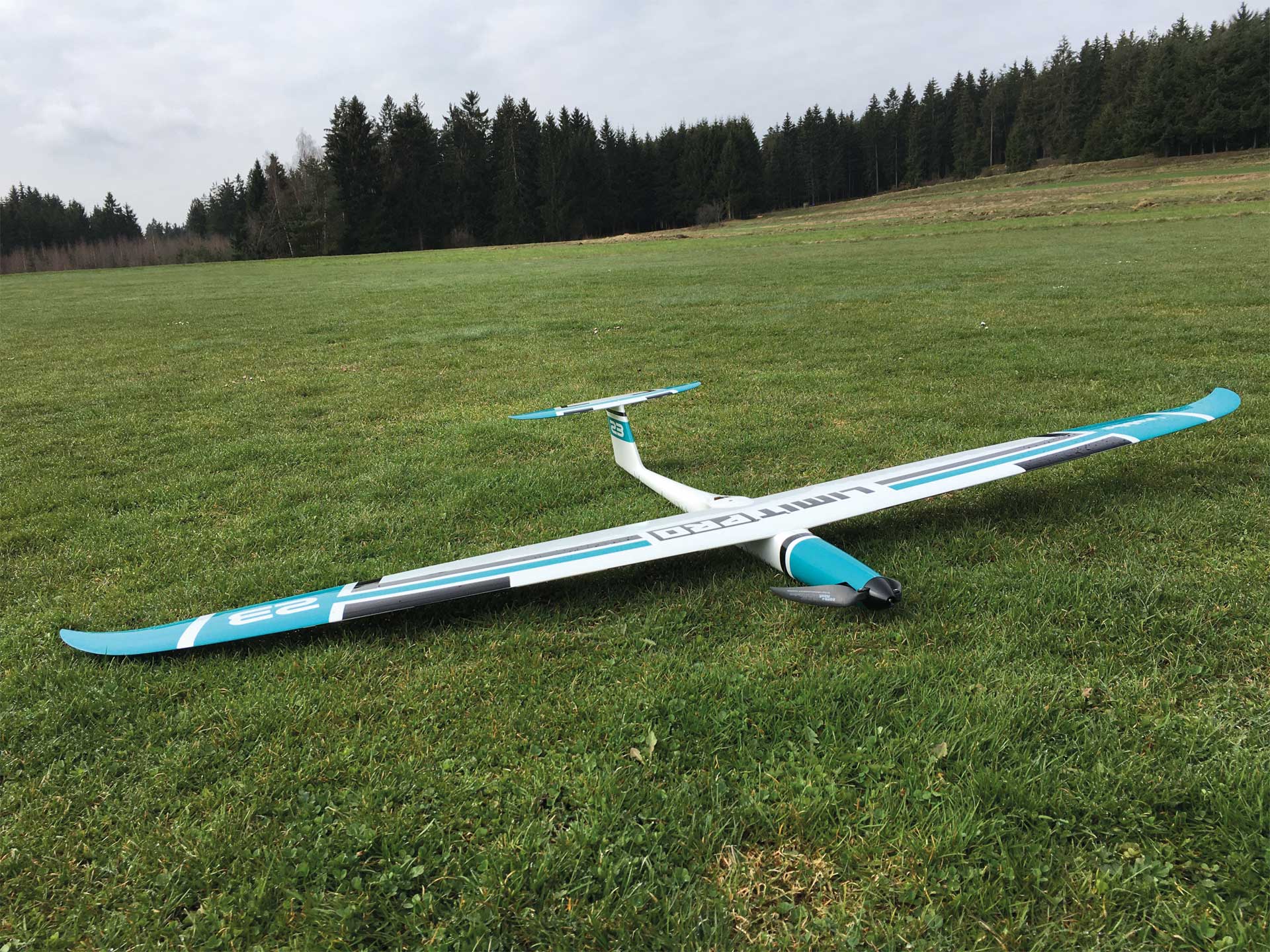 Robbe Limit Pro PNP PETROL mit eingebauten Servos und Antrieb, Voll-GfK/CfK 2680