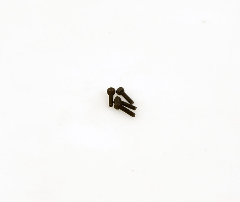 R17010 Schraube Servo Arm M2x8mm (4 Stk.)
